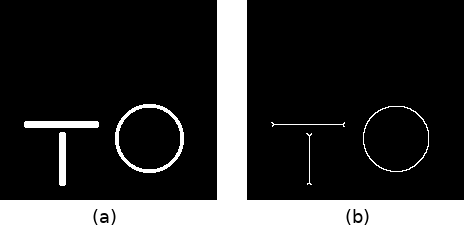 Imagem sintética binária (a); e Aplicação do afinamento morfológico (b).